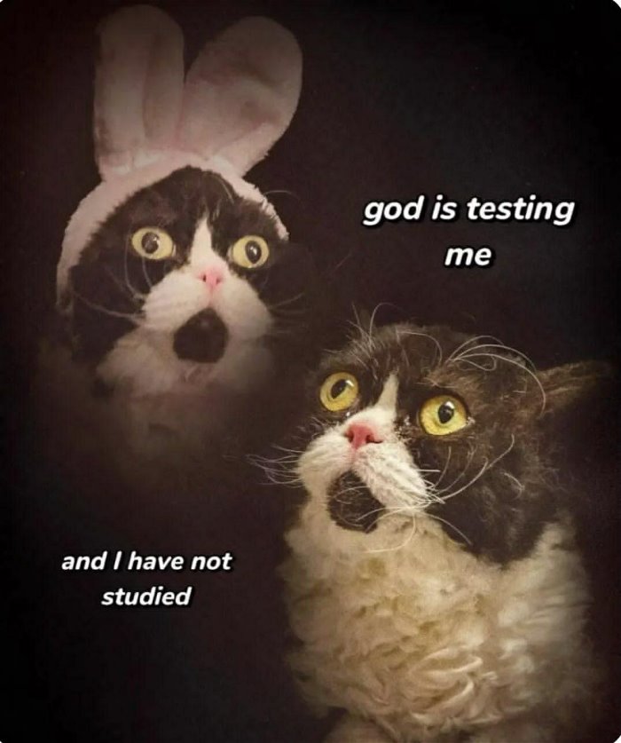 testing me