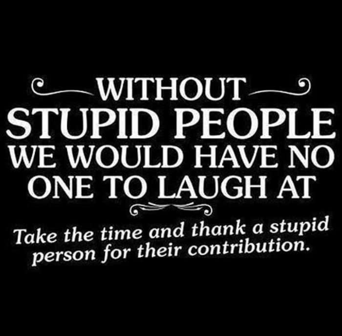 thank a stupid person today funny picture