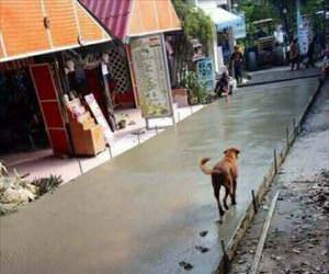 thanks for the soft path