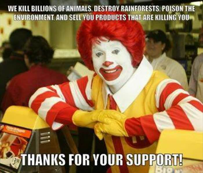 thanks for your support