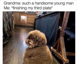 thanks grandma ... 2