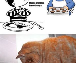 thanks grandma funny picture