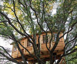 that is a cool tree house