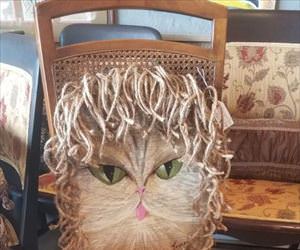 that is a weird chair ... 2