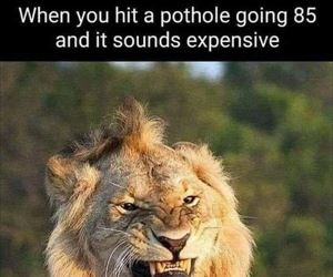 that pothole ... 2