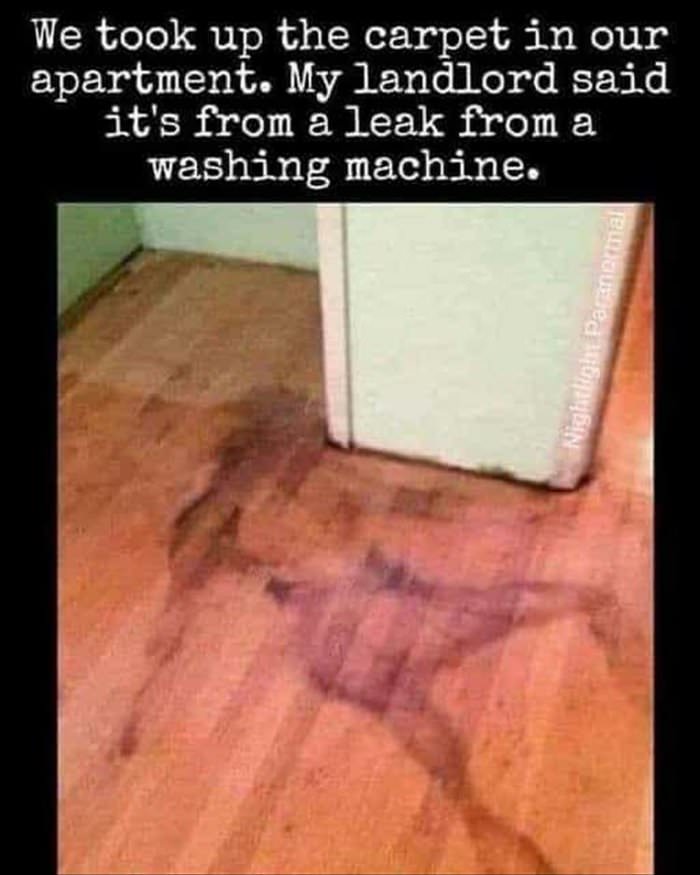 that was a leak