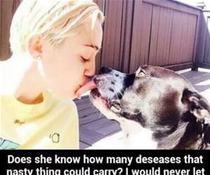 that dog funny picture