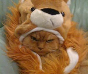 that face says a lot funny picture