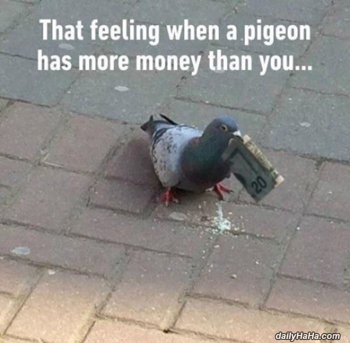 that feeling when funny picture