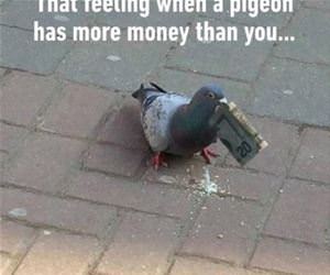 that feeling when funny picture