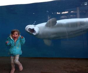 that look is priceless funny picture