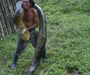 One Big Snake funny picture
