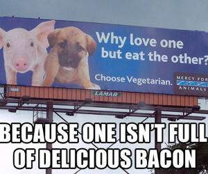 Bacon Love Thats Why funny picture