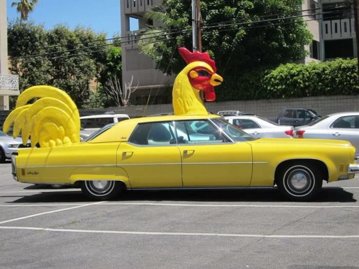 the  chicken car
