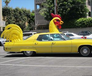 the  chicken car