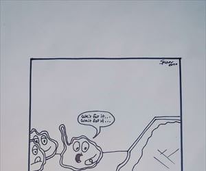 the 5 second rule ... 2