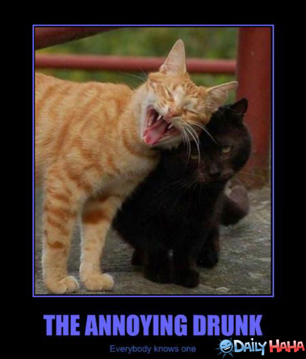 The Annoying Drunk funny picture