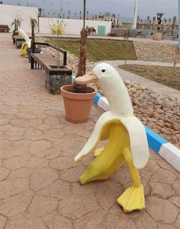 the banana man