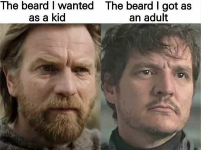 the beard i wanted