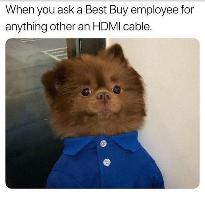 the best buy
