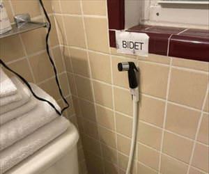 the bidet