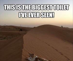 the biggest toilet ever