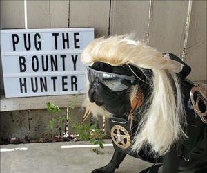 the bounty hunter