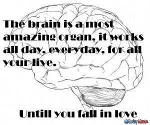 The Brain funny picture