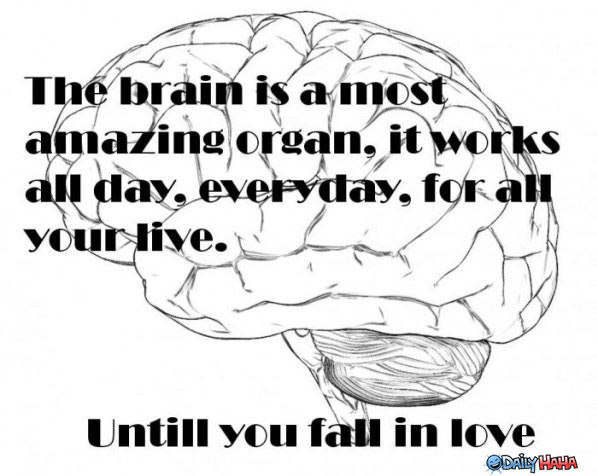 The Brain funny picture