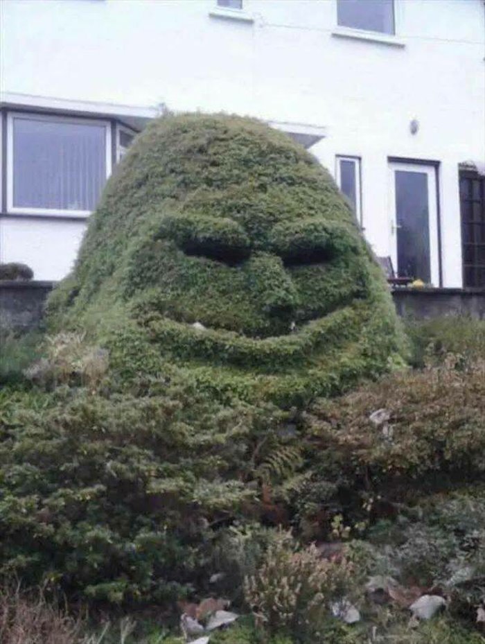 the bush is happy