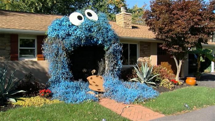 the cookie bush