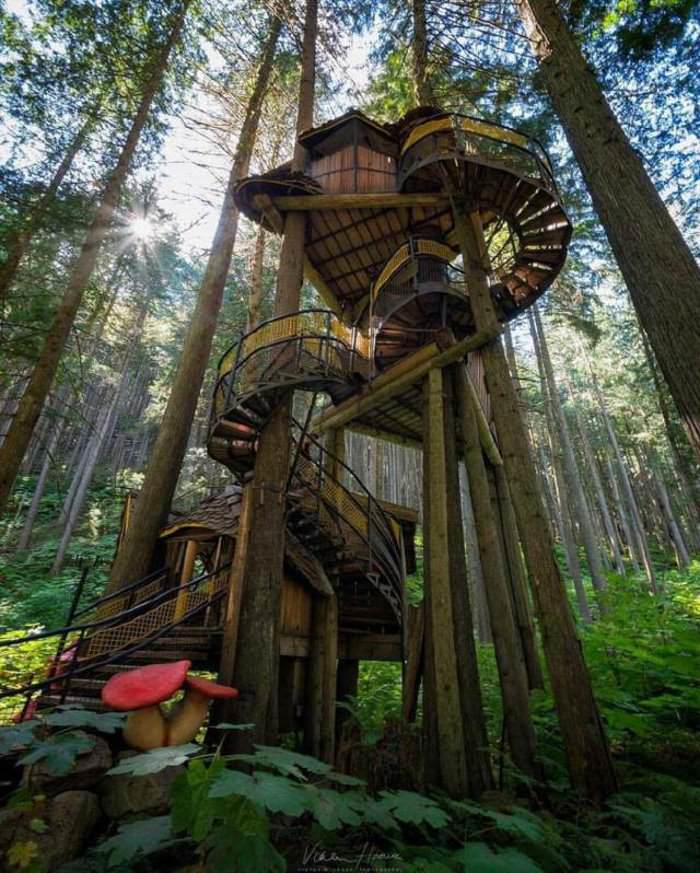 the coolest tree house ever made