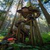 the coolest tree house ever made