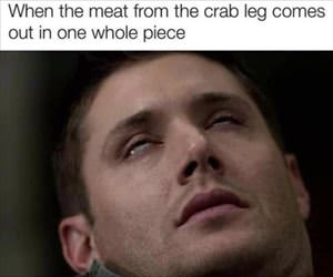 the crab leg