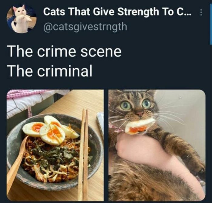 the crime scene