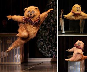 the dancing bear
