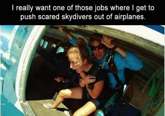 the dream job
