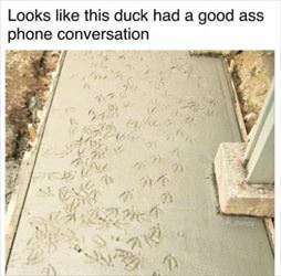 the duck had a conversation
