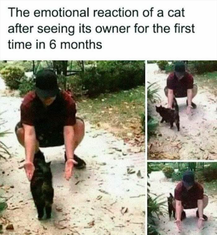 the emotional reaction