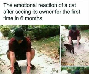 the emotional reaction