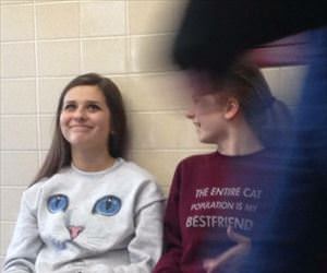 the entire cat population