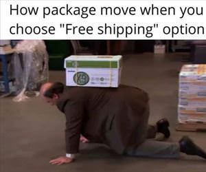 the free shipping option