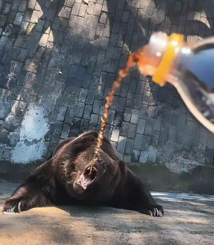 the good stuff ... 2