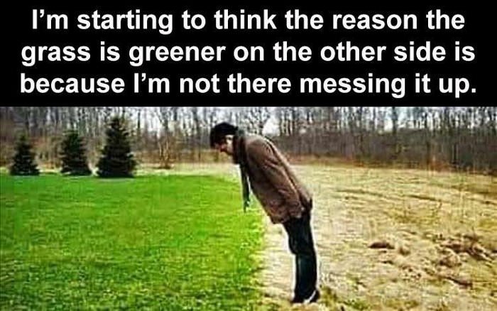 the grass is greener