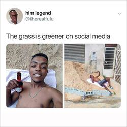 the grass on social media