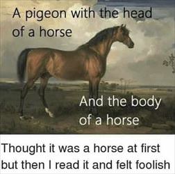 the head of a horse