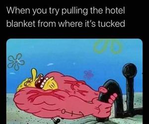 the hotel blanket