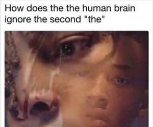 the human brain ... 2