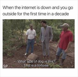 the internet is down