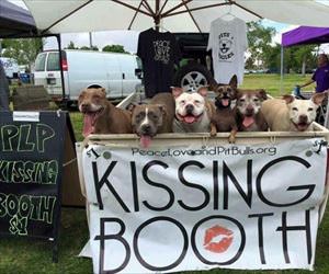 the kissing booth ... 2